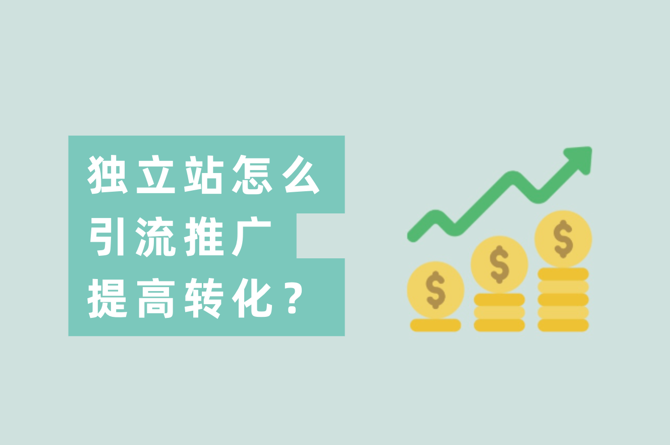 自力站卖家怎么推广引流？自力站怎样举行站内优化提升转化率？